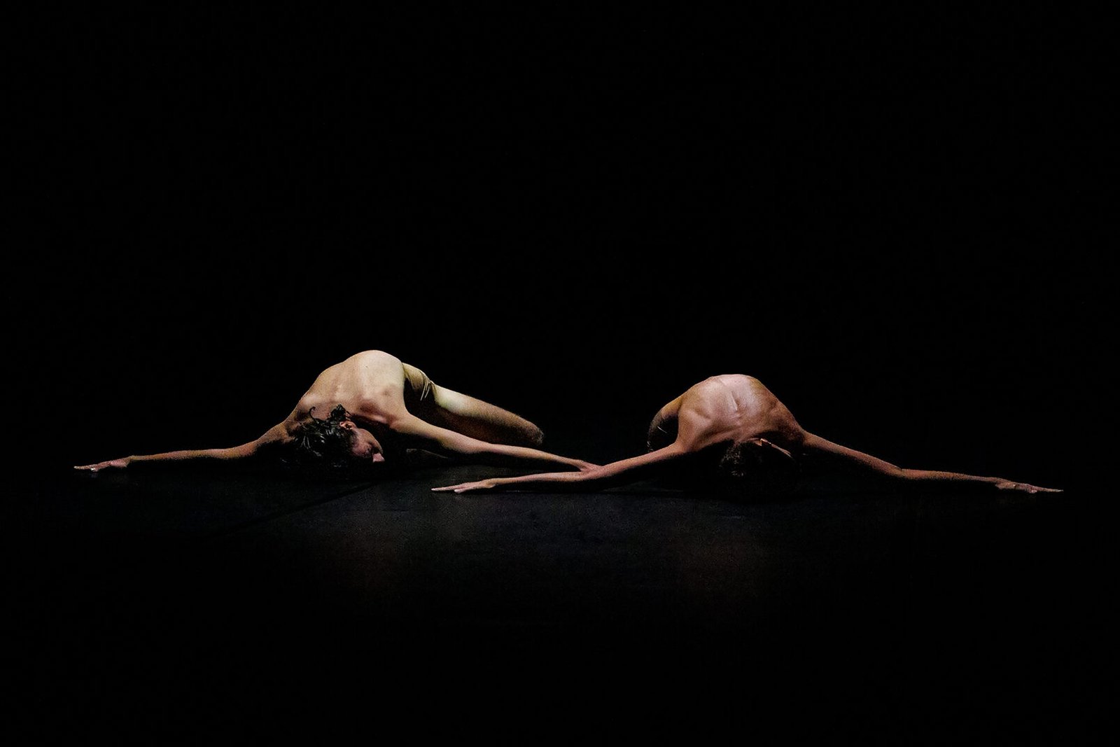 Vetrina XL ph Stefano Scheda
